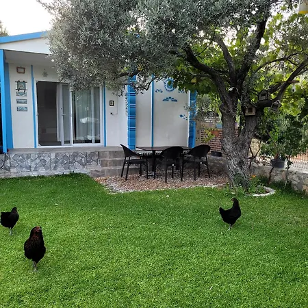 Bed & Breakfast Kuruyanos Agac Evleri *
