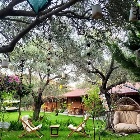 Bed & Breakfast Kuruyanos Agac Evleri Datça