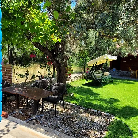 Kuruyanos Agac Evleri *