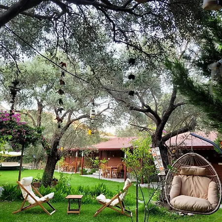 Kuruyanos Agac Evleri Bed & Breakfast Datça