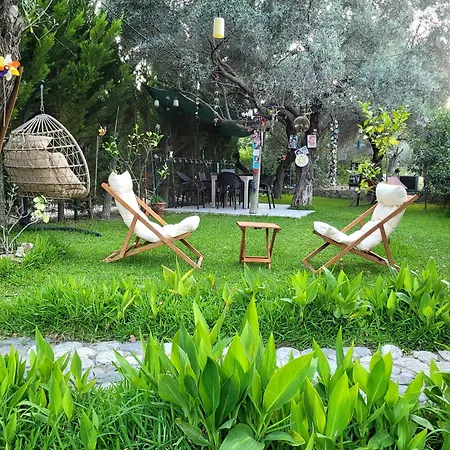 Kuruyanos Agac Evleri *